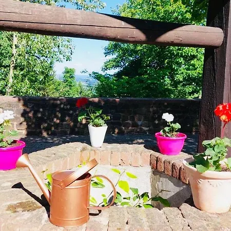 Apartment Familienurlaub Im Schloß Neben Wildpark Fockelberg